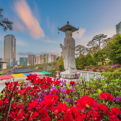 PlacidWay Partners with GMTA to Expand Global Access to Gangnam, Korea’s Premier Healthcare for Medical Tourists